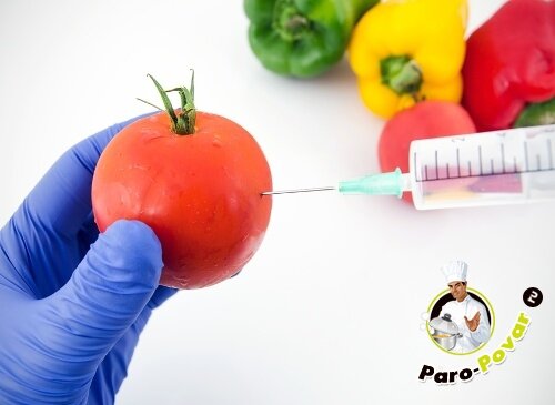 Чем проявляется влияние ГМО на организм человека
